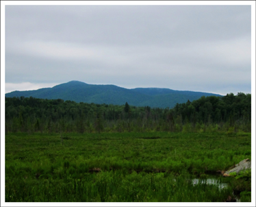 Adirondack Wetlands: Heron Marsh and St Regis Mountain from the Barnum Brook Trail (29 June 2011)
