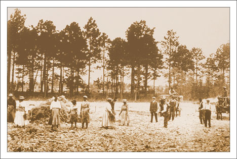Black Farmers at North Elba, New York