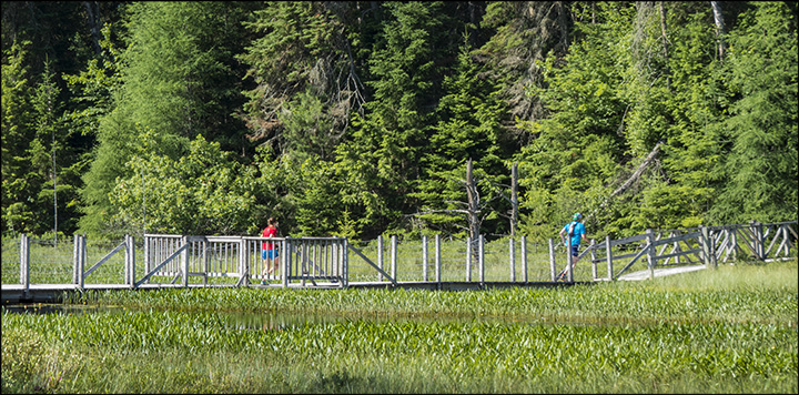 Sports at the VIC: Independence Day Star-Spangled Treail Run (6 July 2014)