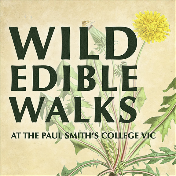 Wild Edible Walks 2016 Logo