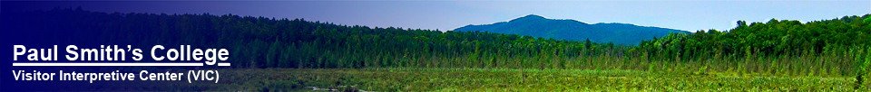 Adirondack Wetlands:  Heron Marsh at the Paul Smiths VIC (28 July 2012)