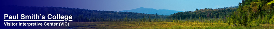 Adirondack Wetlands: Heron Marsh and Saint Regis Mountain (11 September 2013)