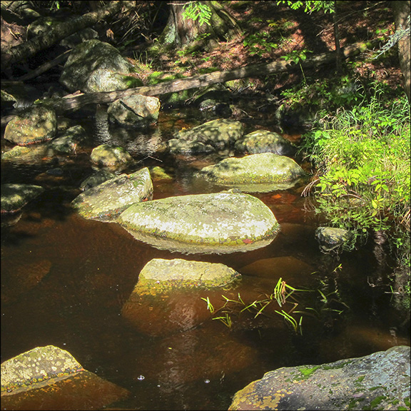 The water of Barnum Brook is a brown tea color, reflecting tannins from nearby hemlocks. Barnum Brook from the bridge on the Barnum Brook Trail (27 September 2011).