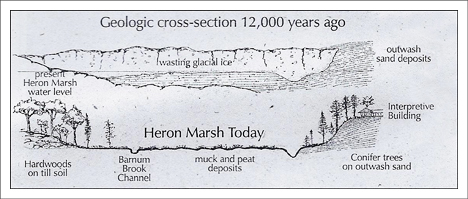 Paul Smiths VIC:  Marsh Geology